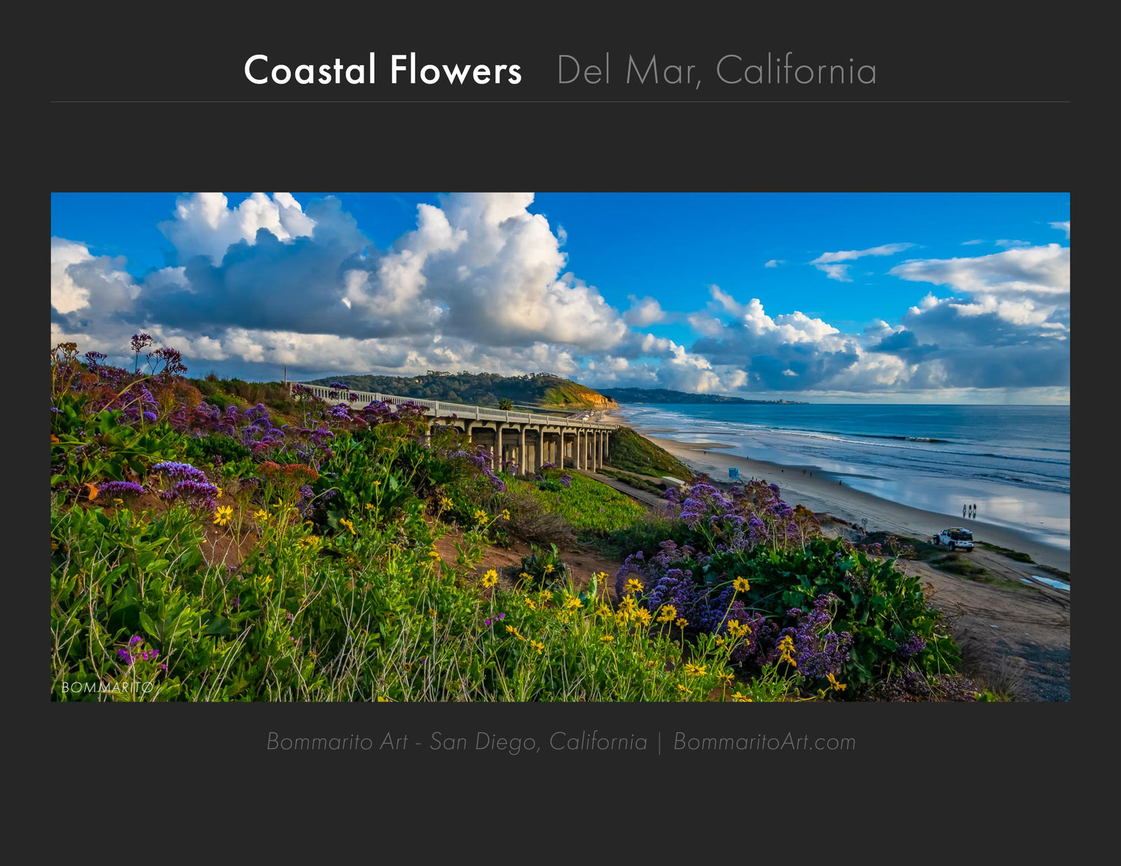 Torrey Pines Bridge - Del Mar, California