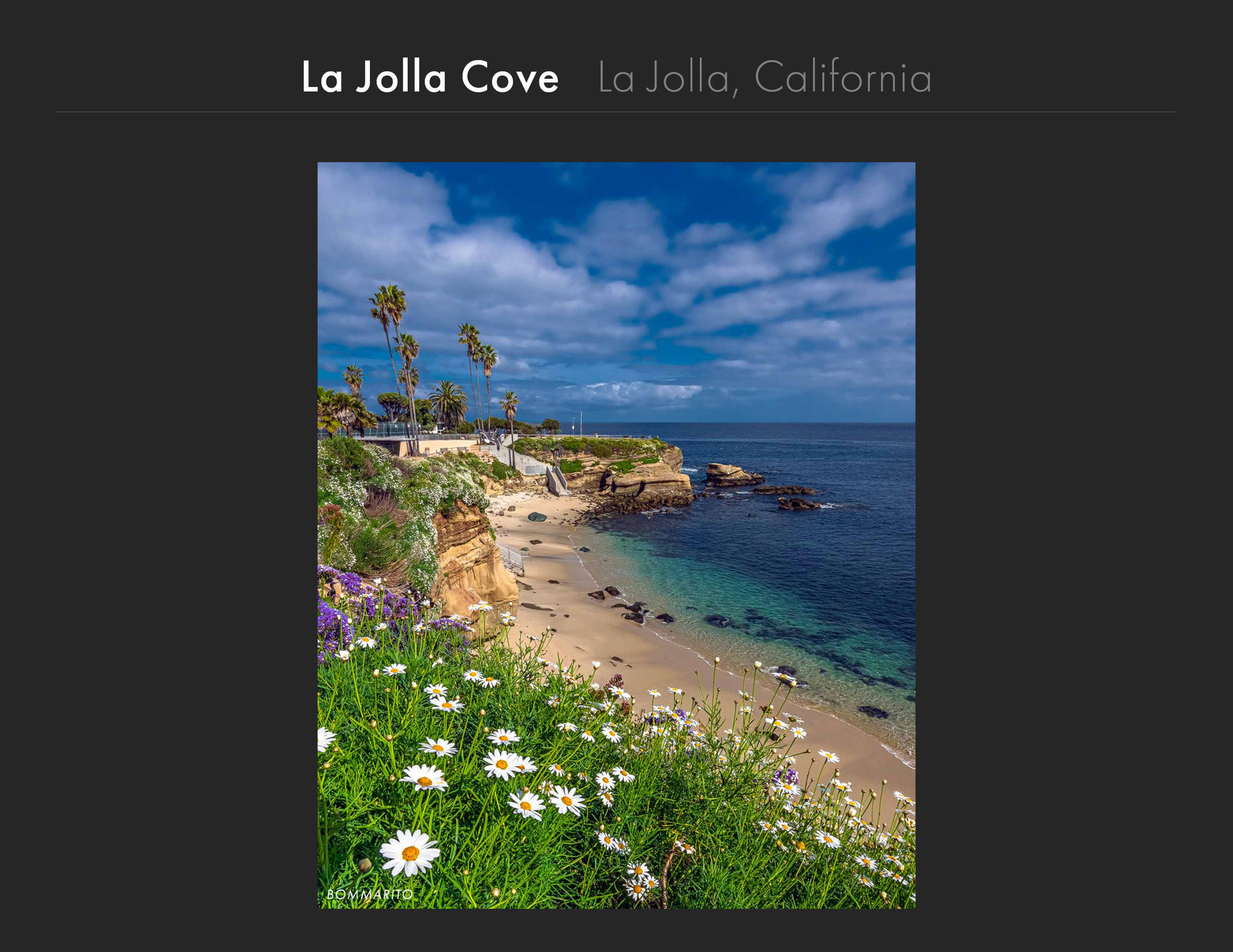 La Jolla Cove