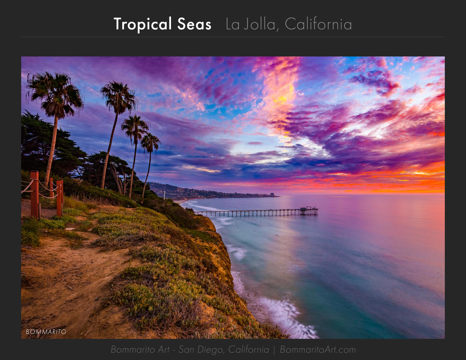 San Diego Metal Wall Art - Bommarito Art, Daniel Bommarito