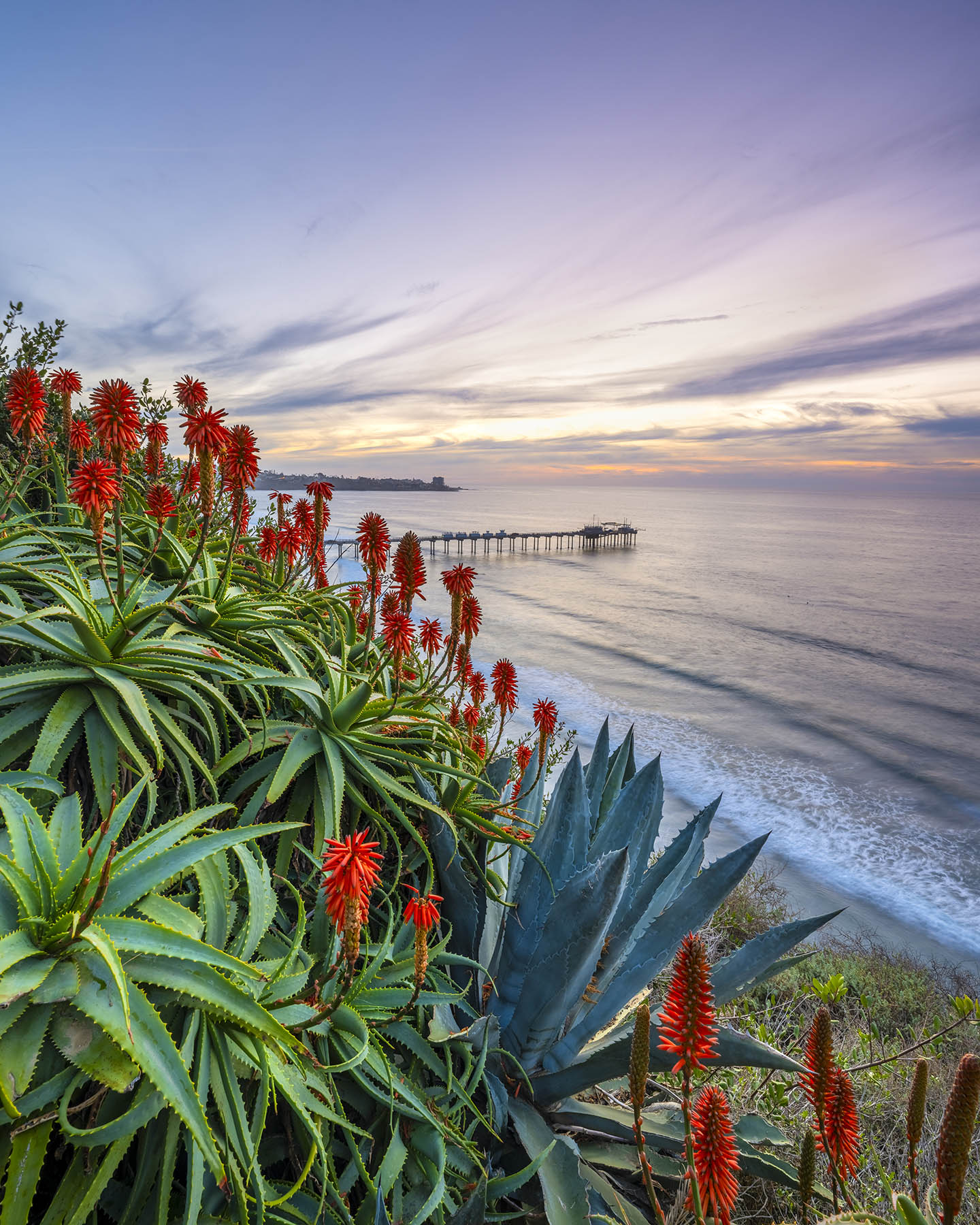 Coastal Garden