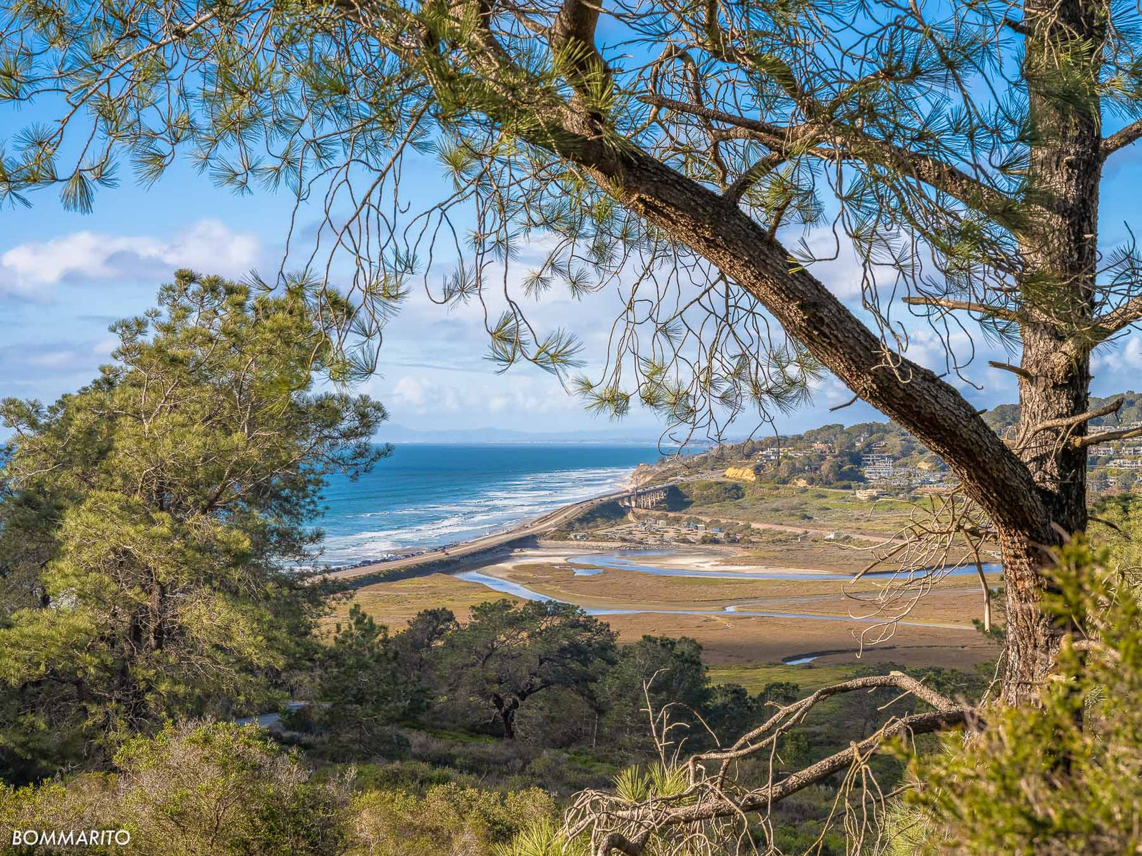 Golden Hour at Torrey Pines Park