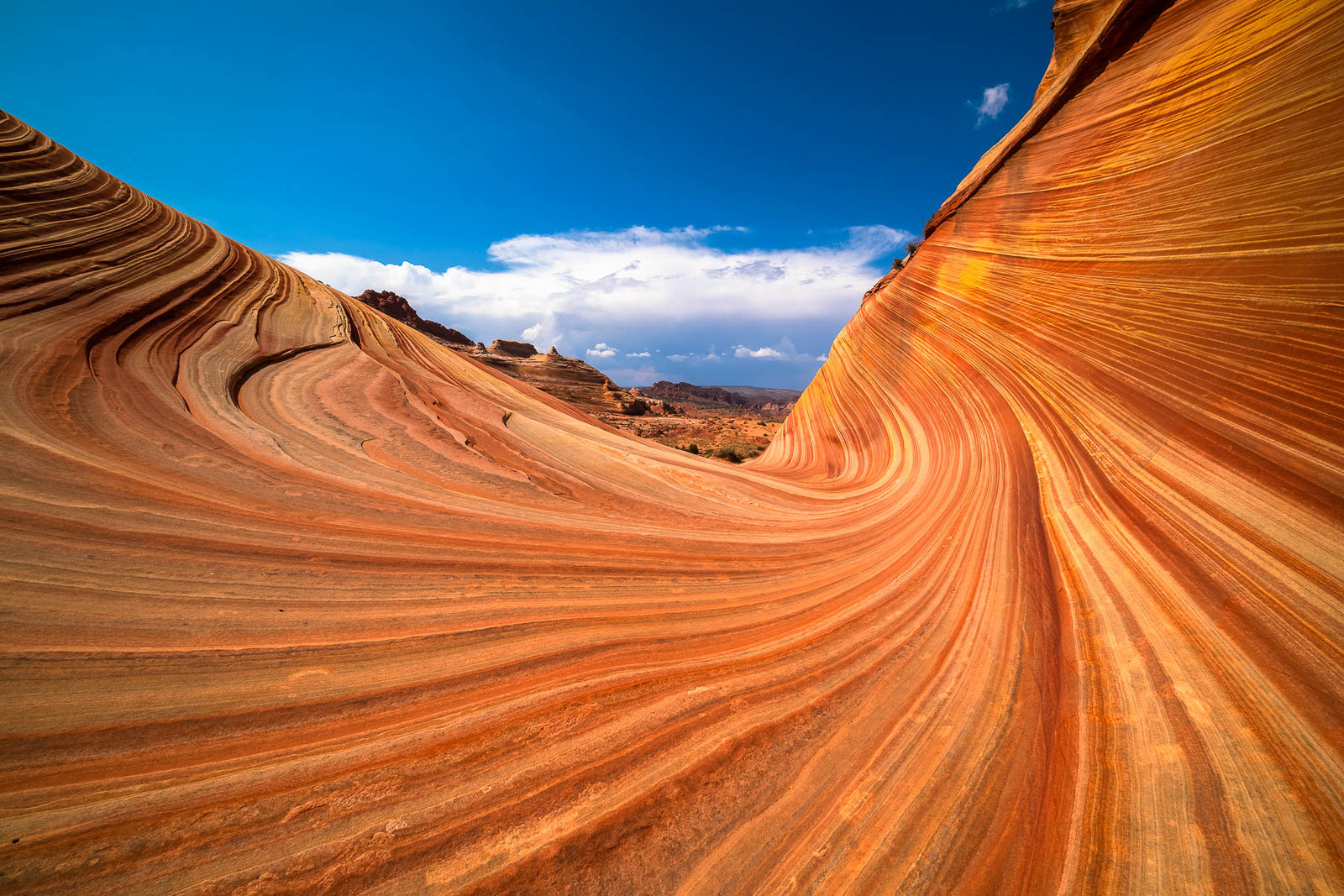 Waves of Time