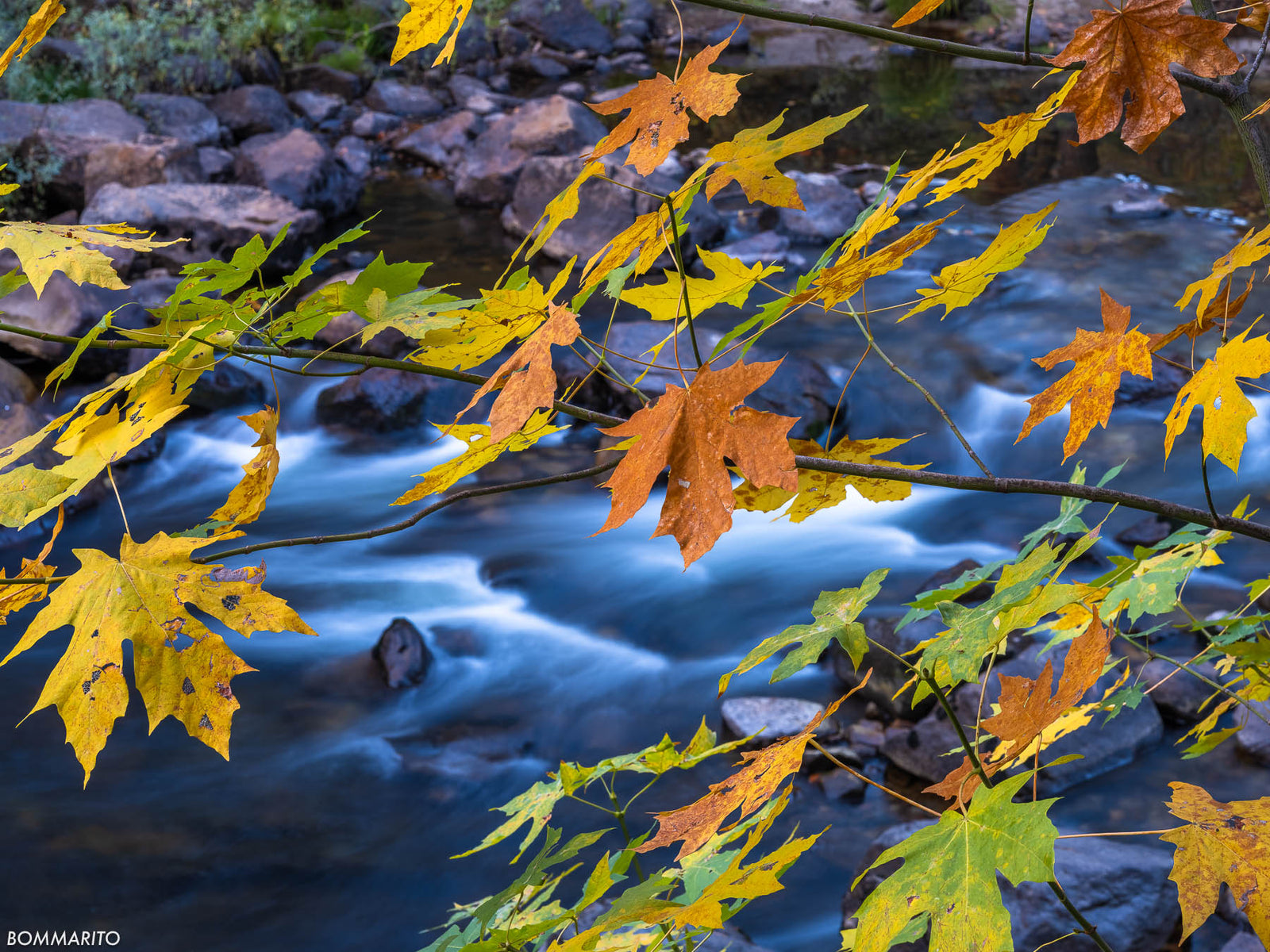 Autumn Flow