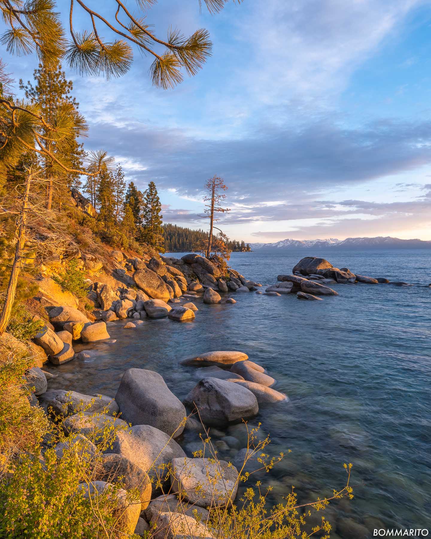 Shoreline Glow