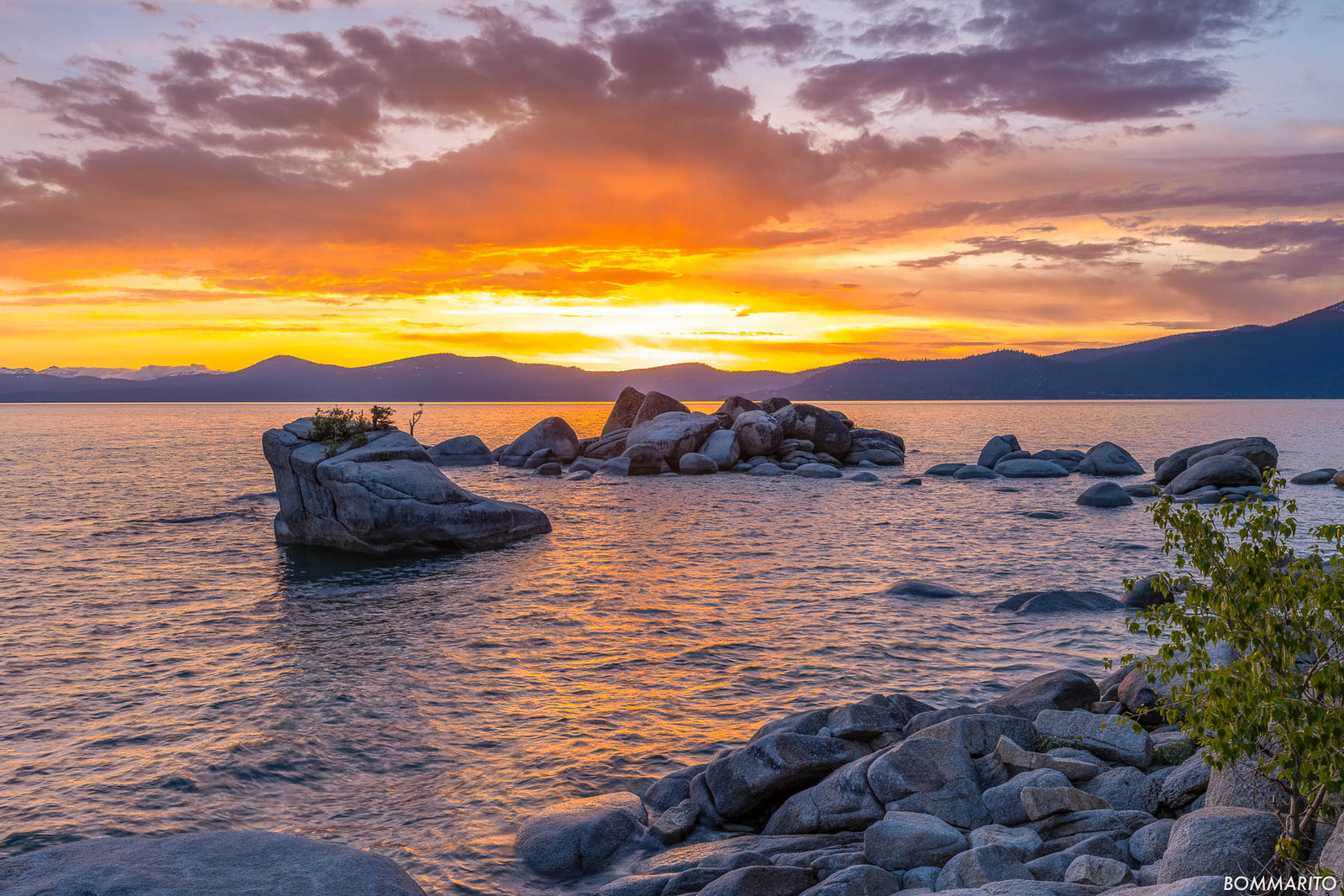 Bonsai Rock Sunset