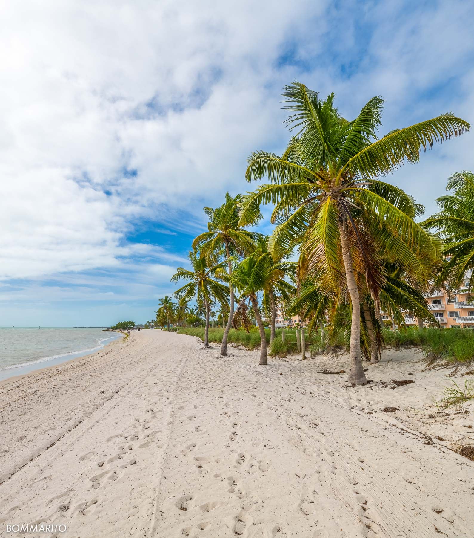 Paradise Found