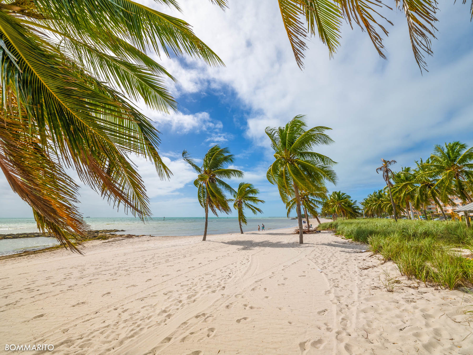 Tropical Key West