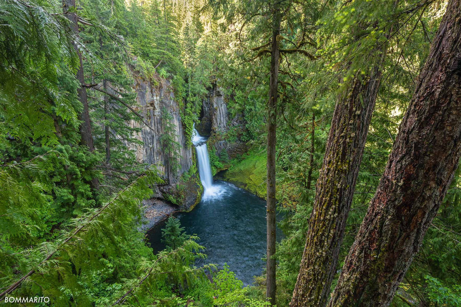 National Forest Cascades