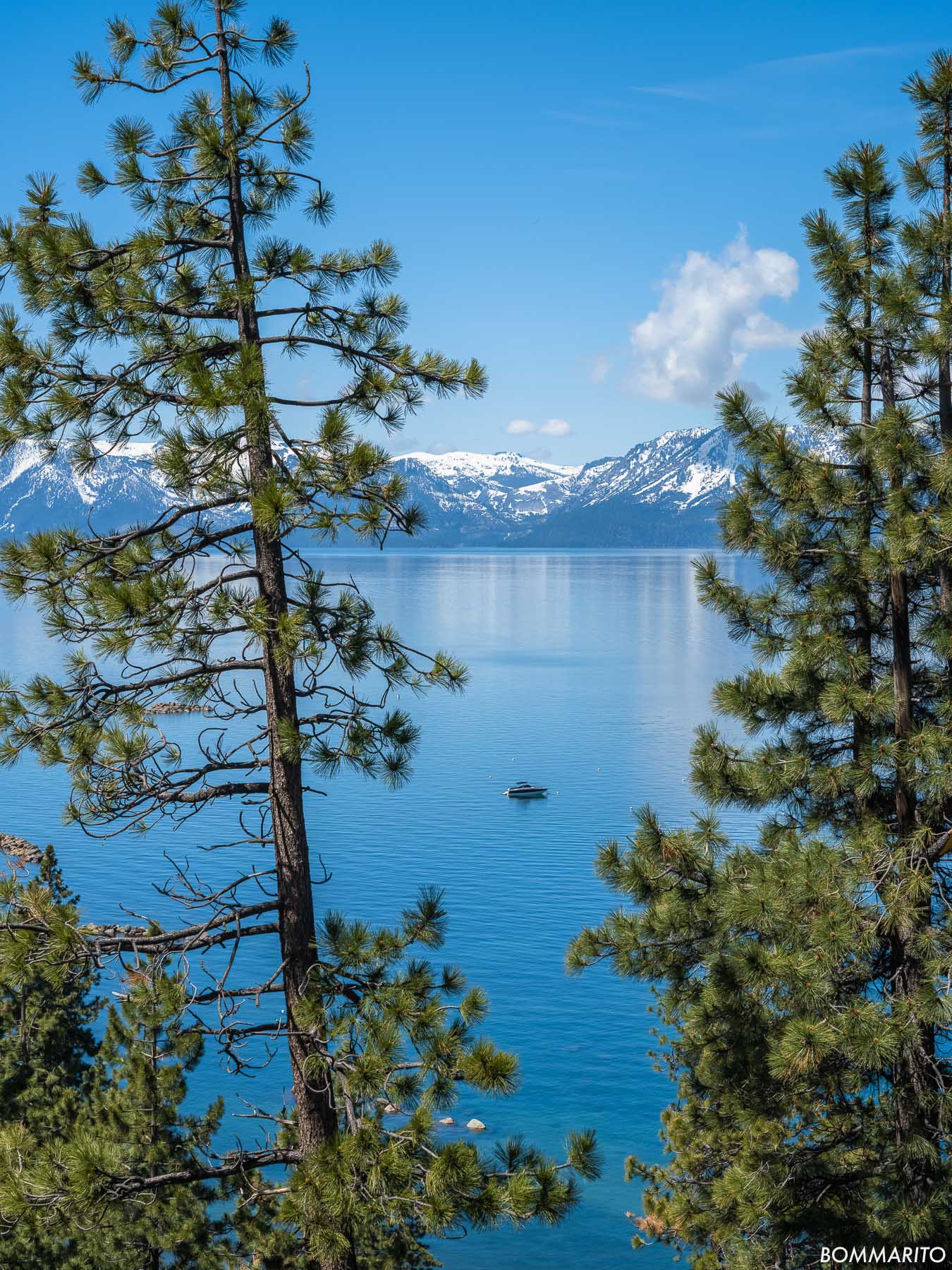 Blue Wonder