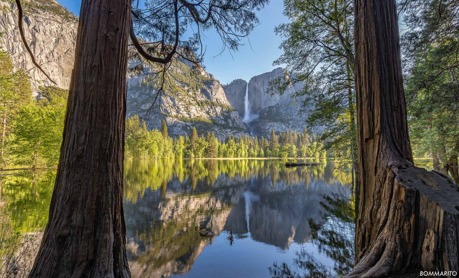 Pristine Reflections