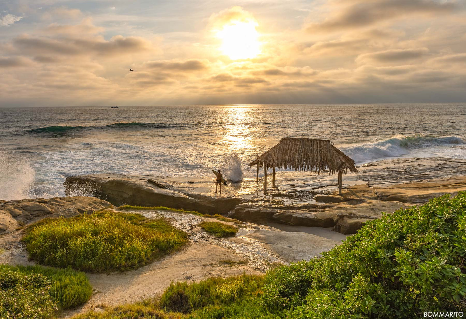Sundrenched Shores