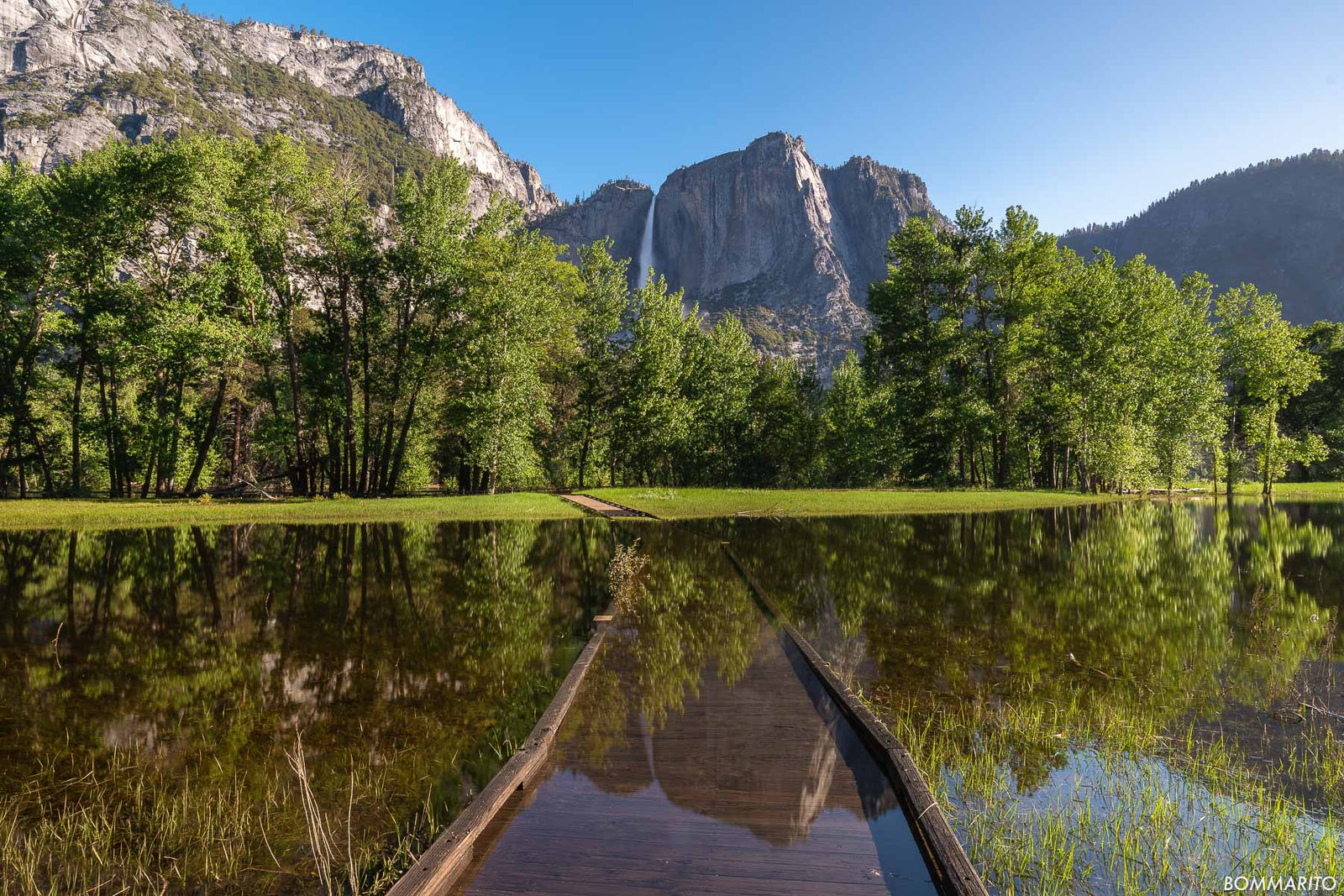 Reflective Path