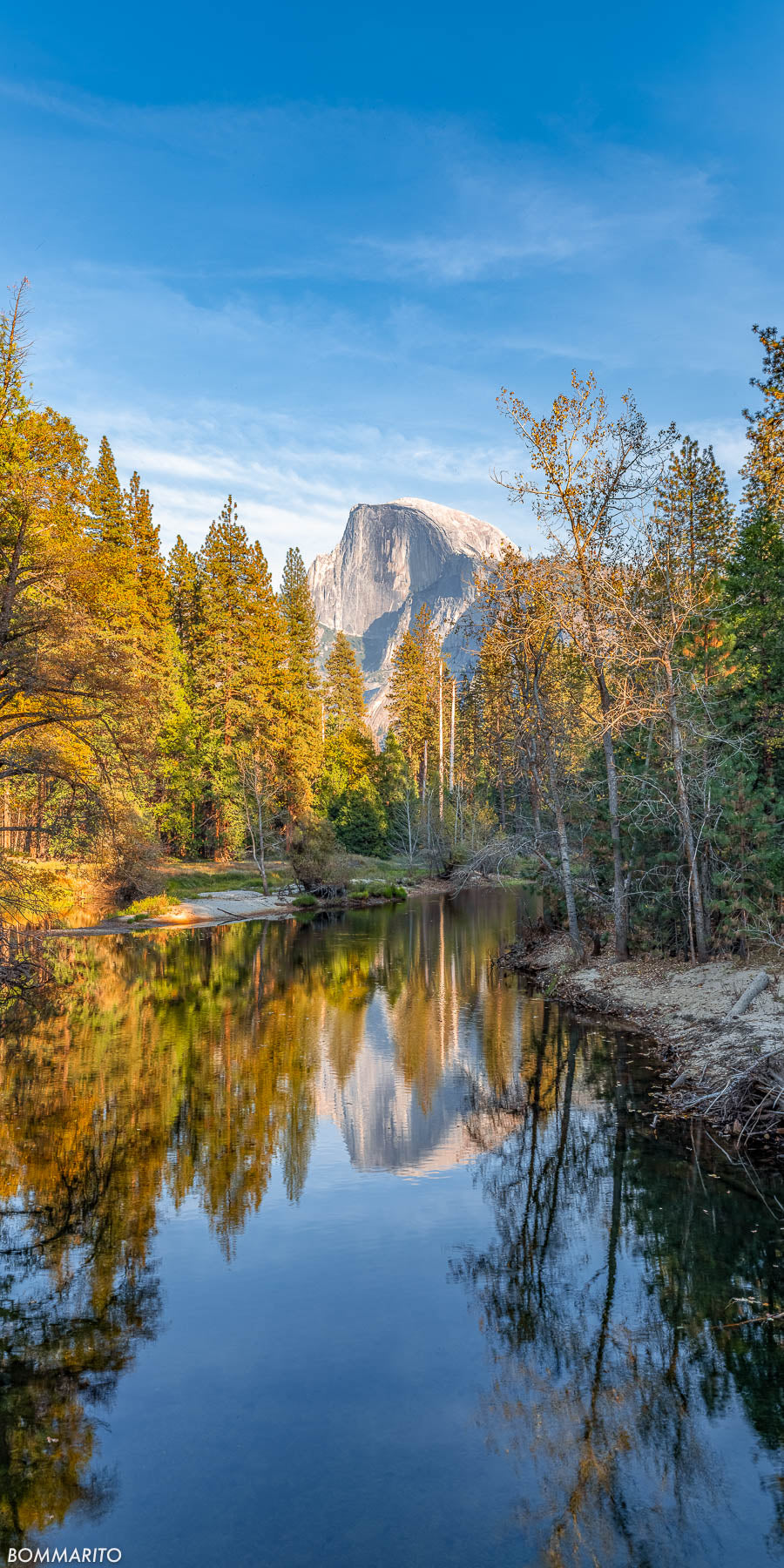 Mirrored Majesty
