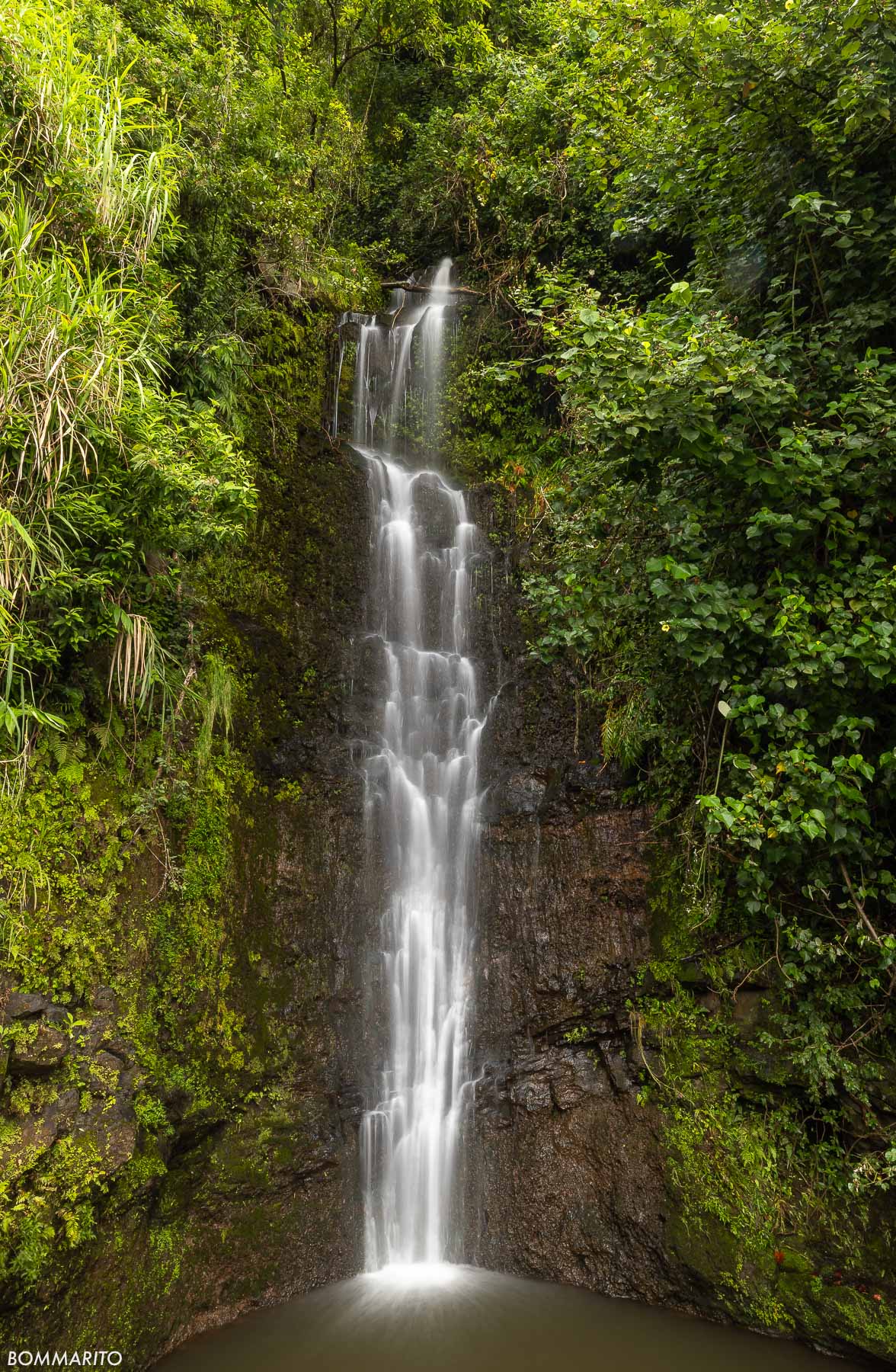 Tranquil Flow