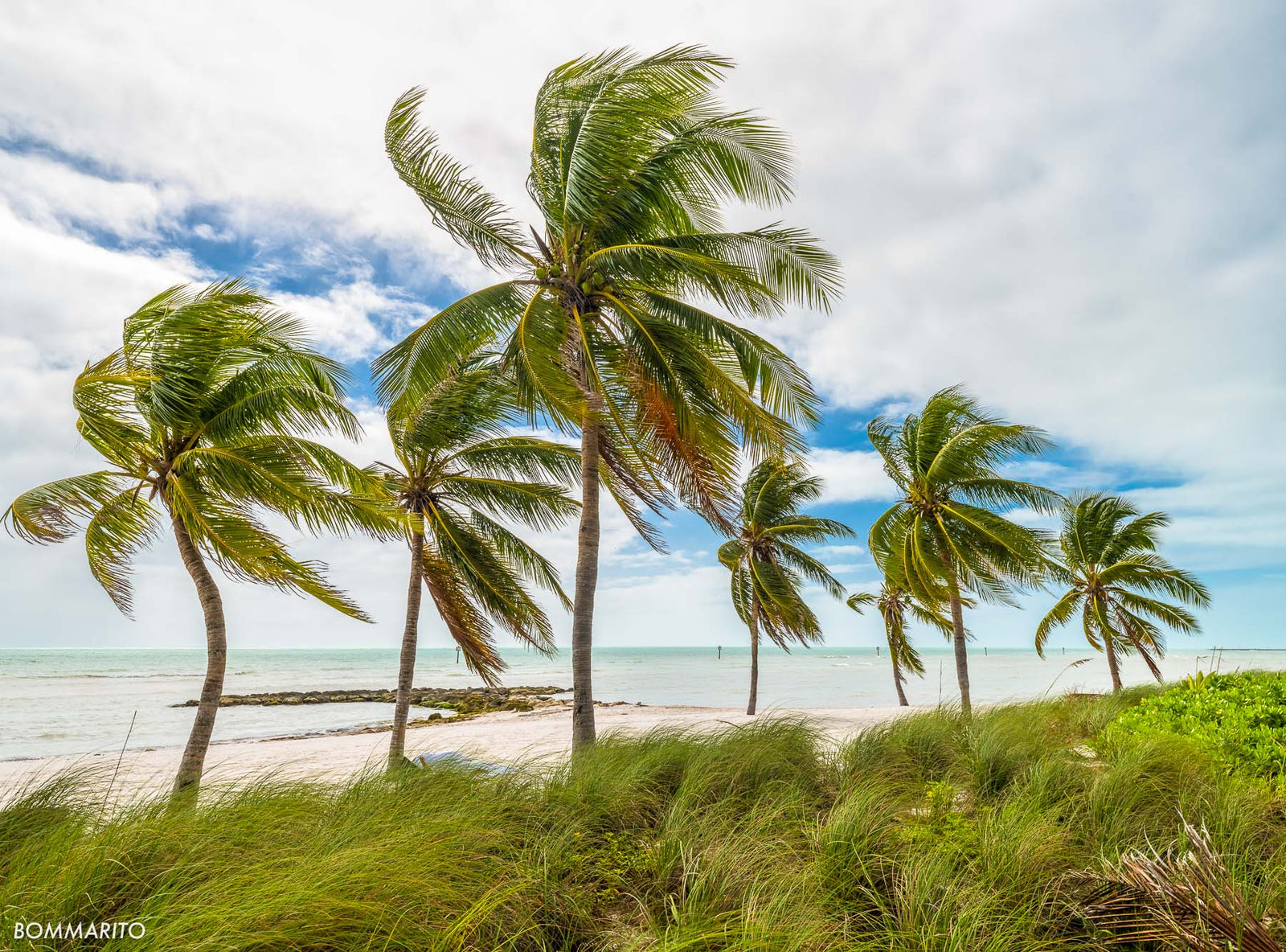 Beach Oasis