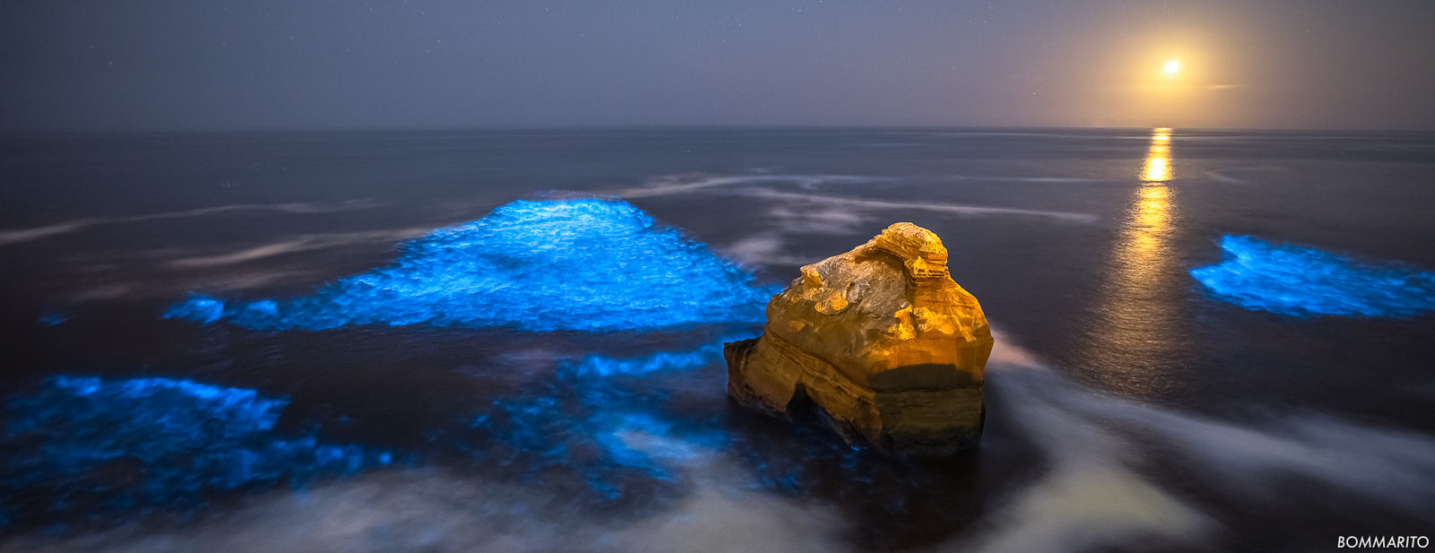 Bio Moonlight