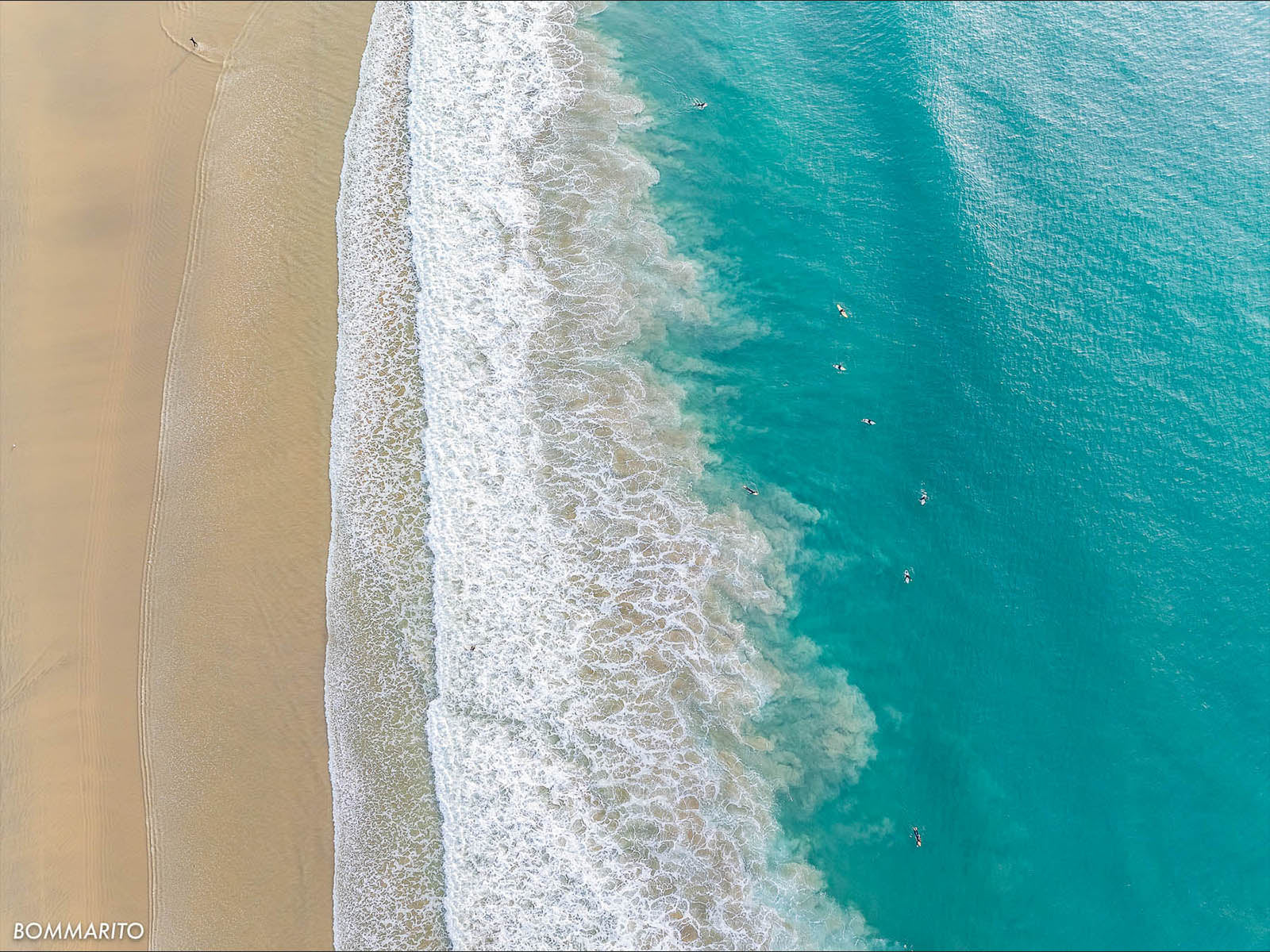 Coastal Harmony