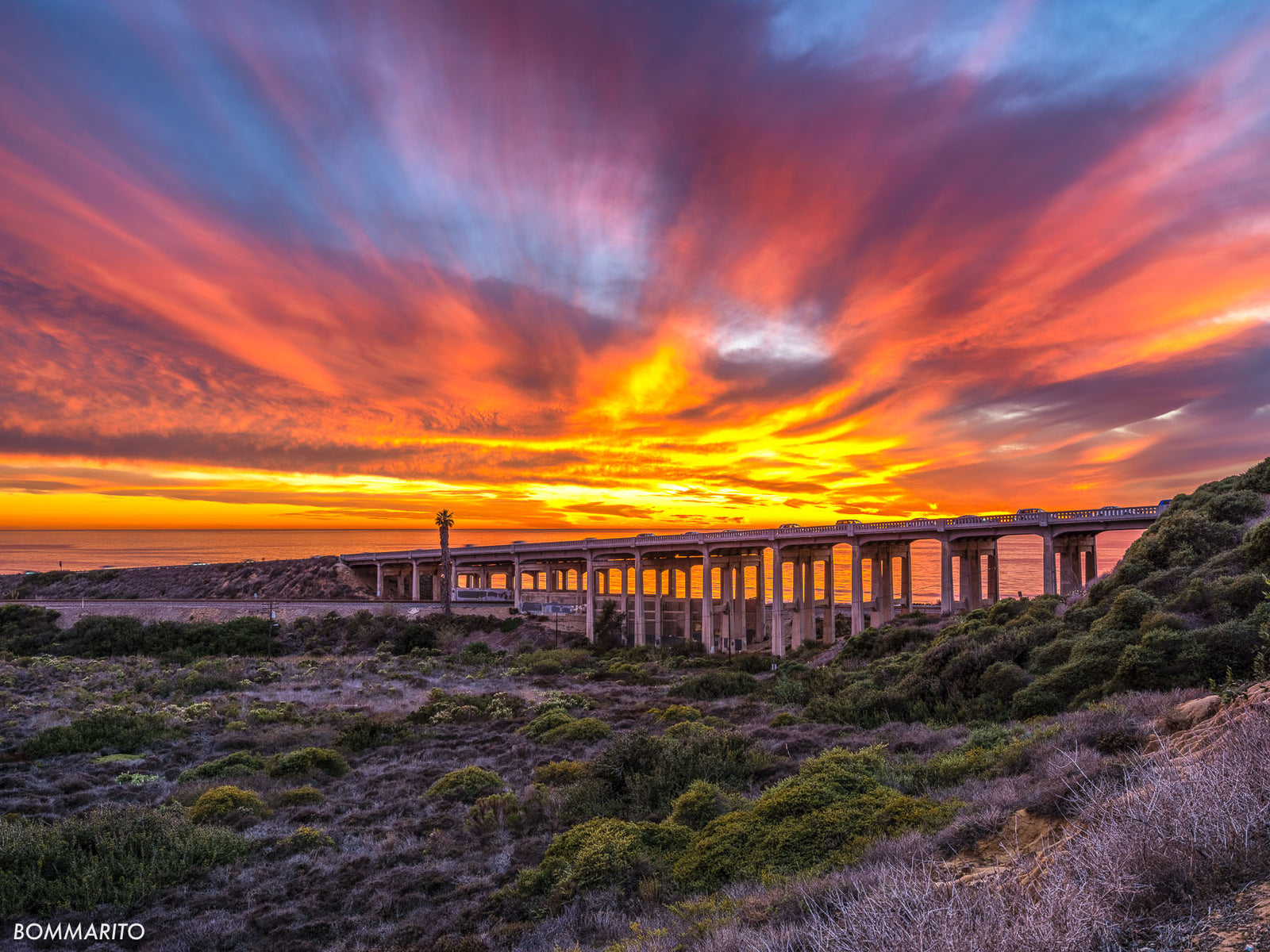 Del Mar Sky