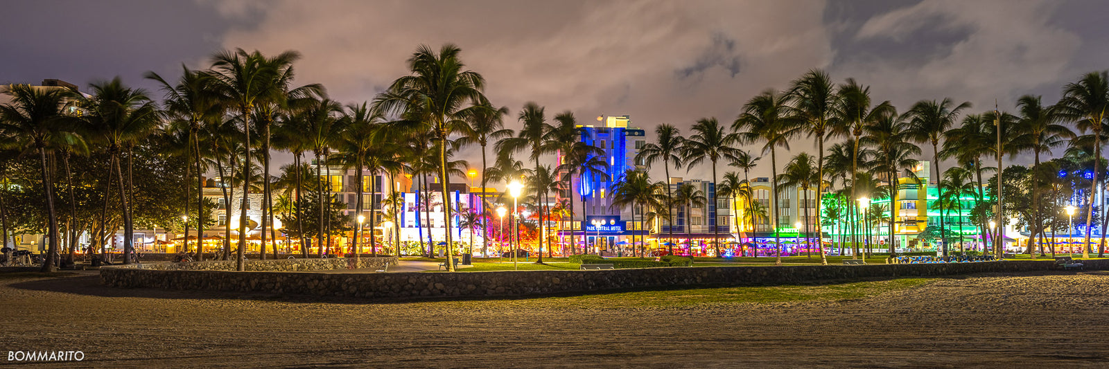 South Beach Palms