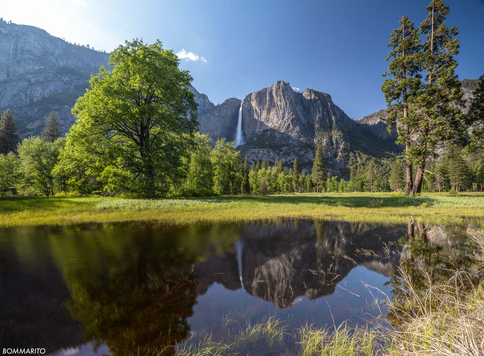 Spring Reflections