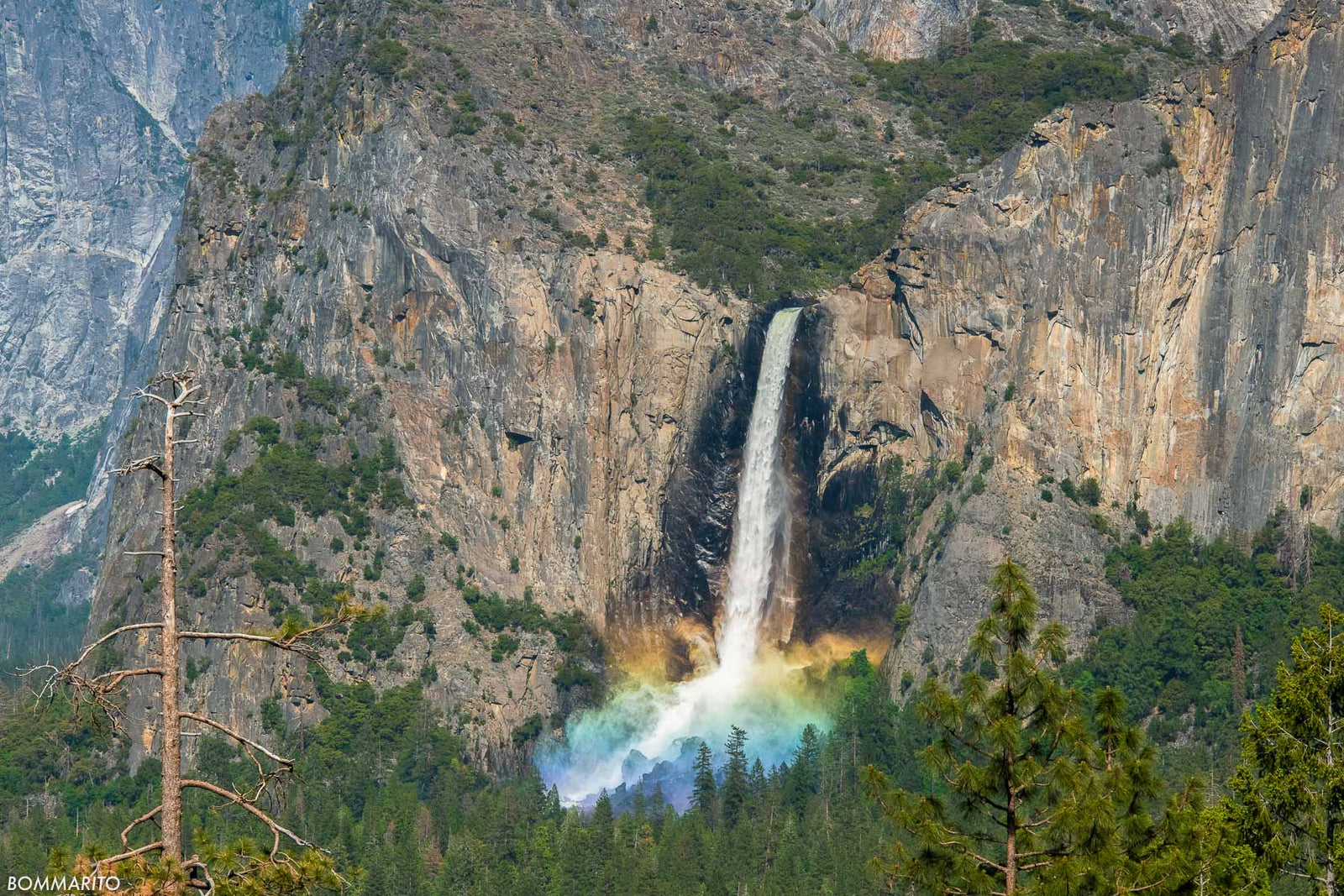 Bridalveil Mist Bow