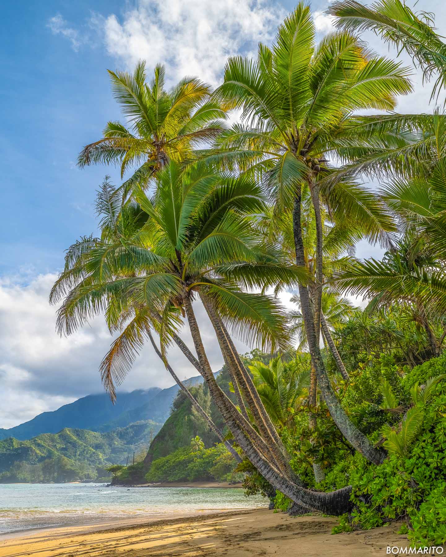 Hanalei Shores