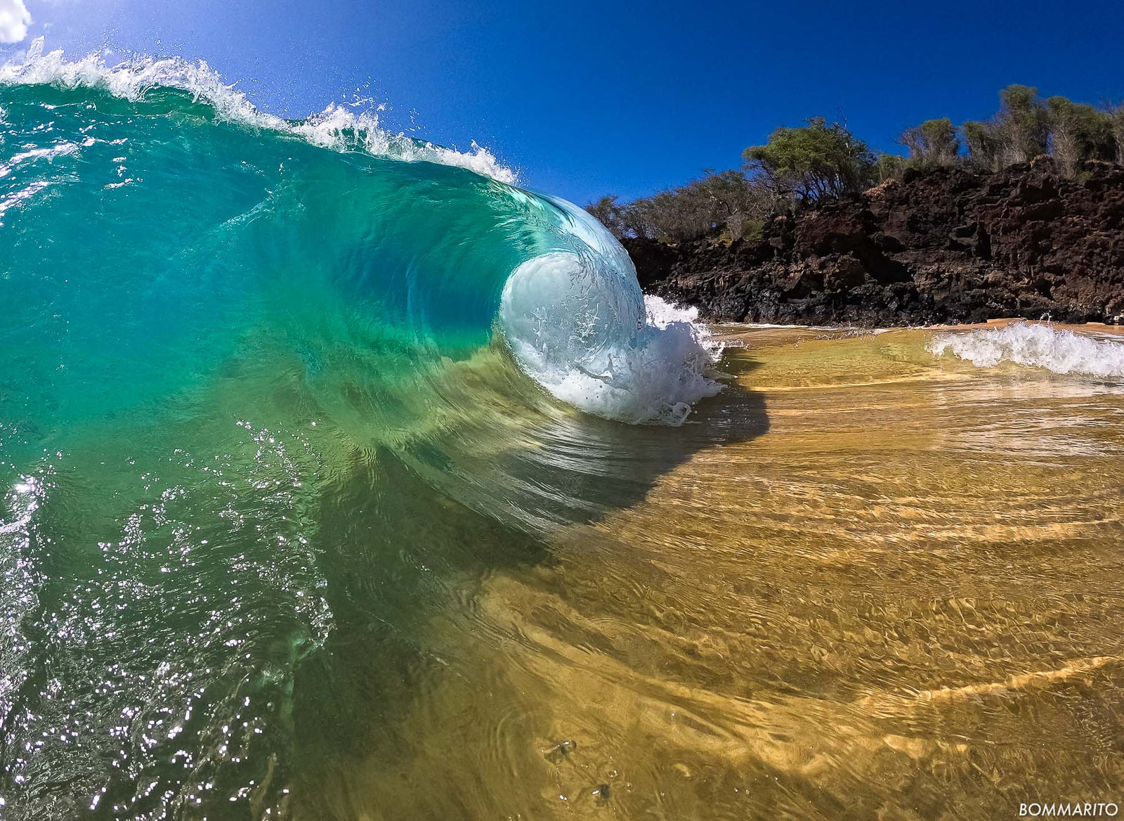 Hawaiian Charm
