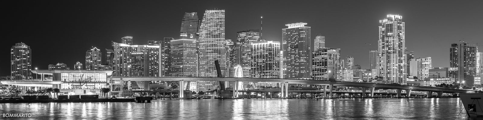 Miami Reverie