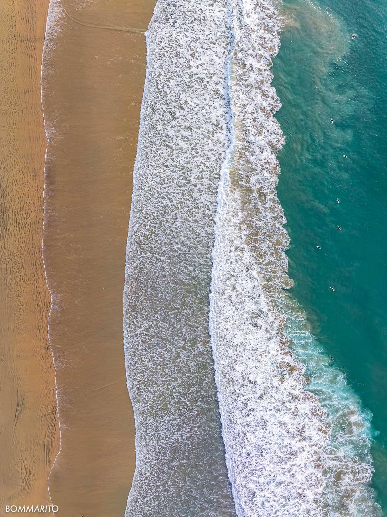 Ocean Color Palette