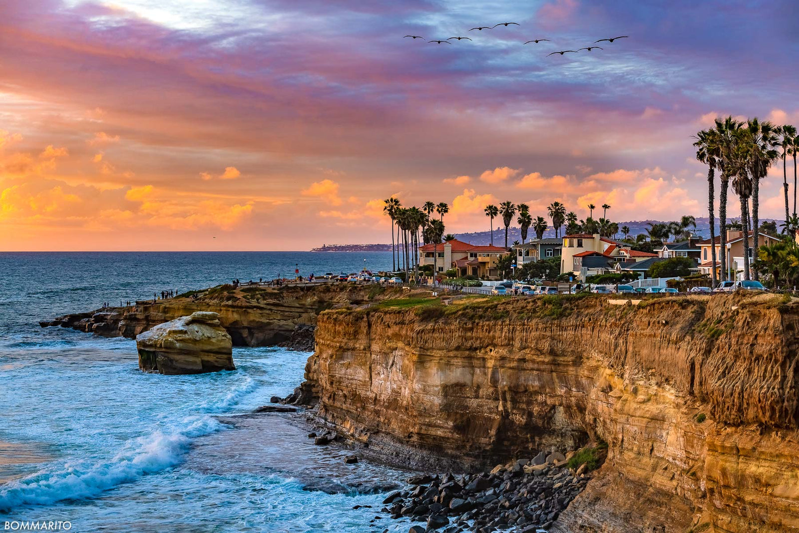 Pelicans at Sunset Cliffs