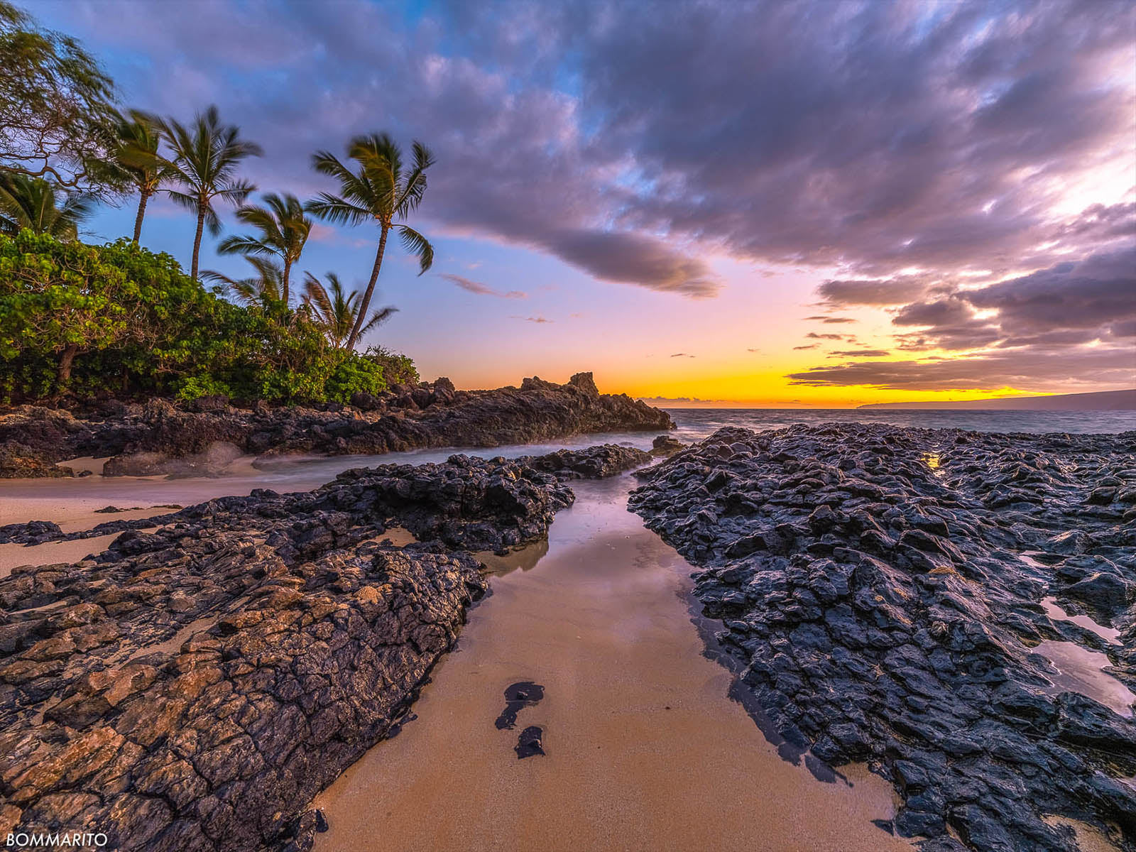 Secret Shores