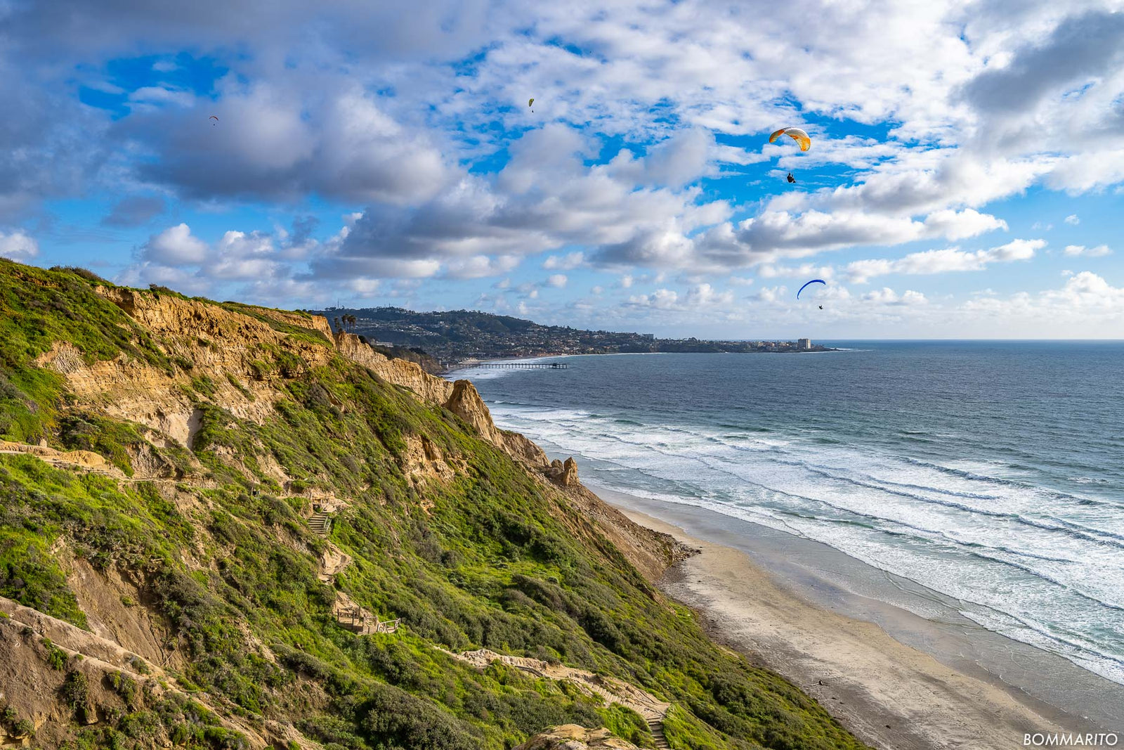 Springtime at Black's Beach