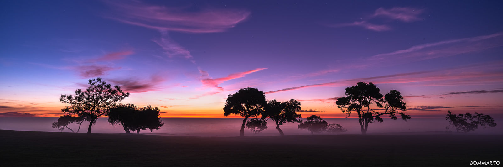 Nautical Trees