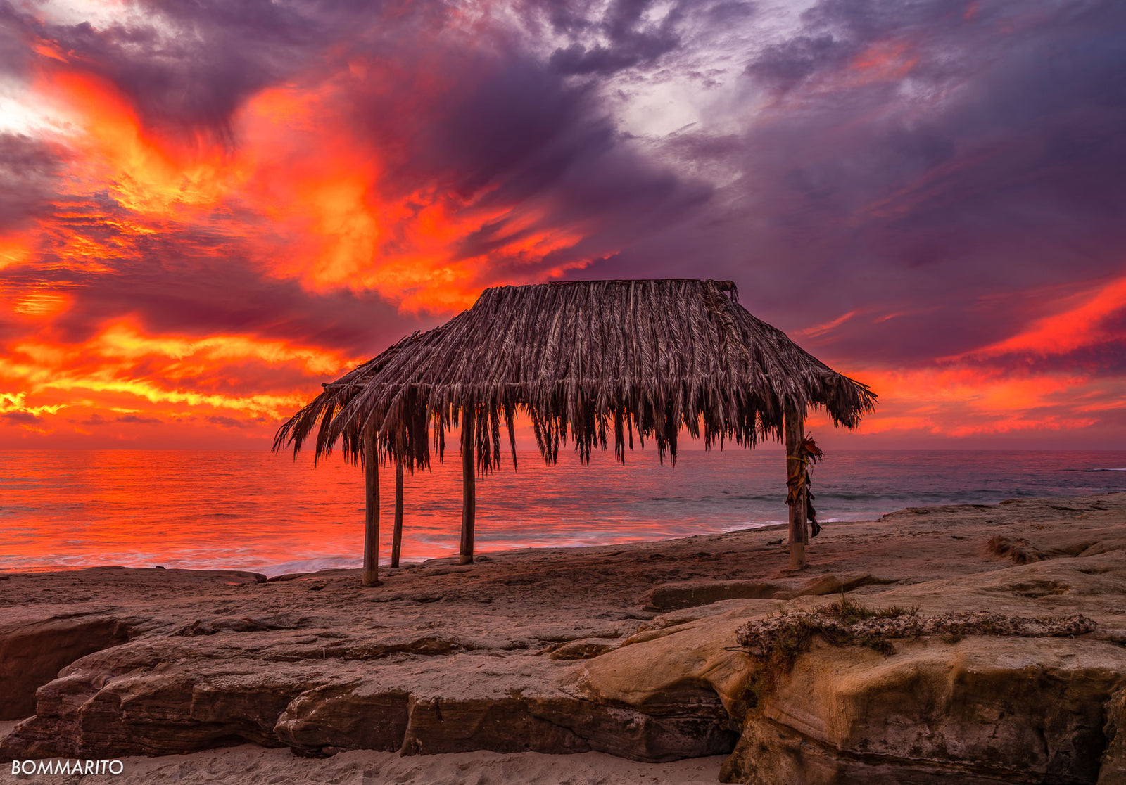 Tropical Skyfire