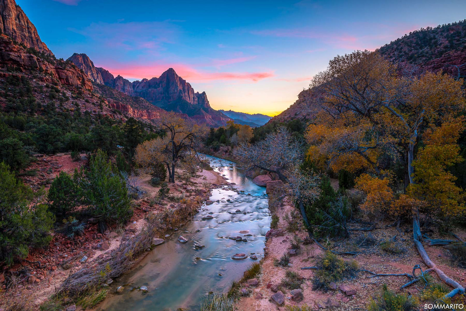 Zion Autumn