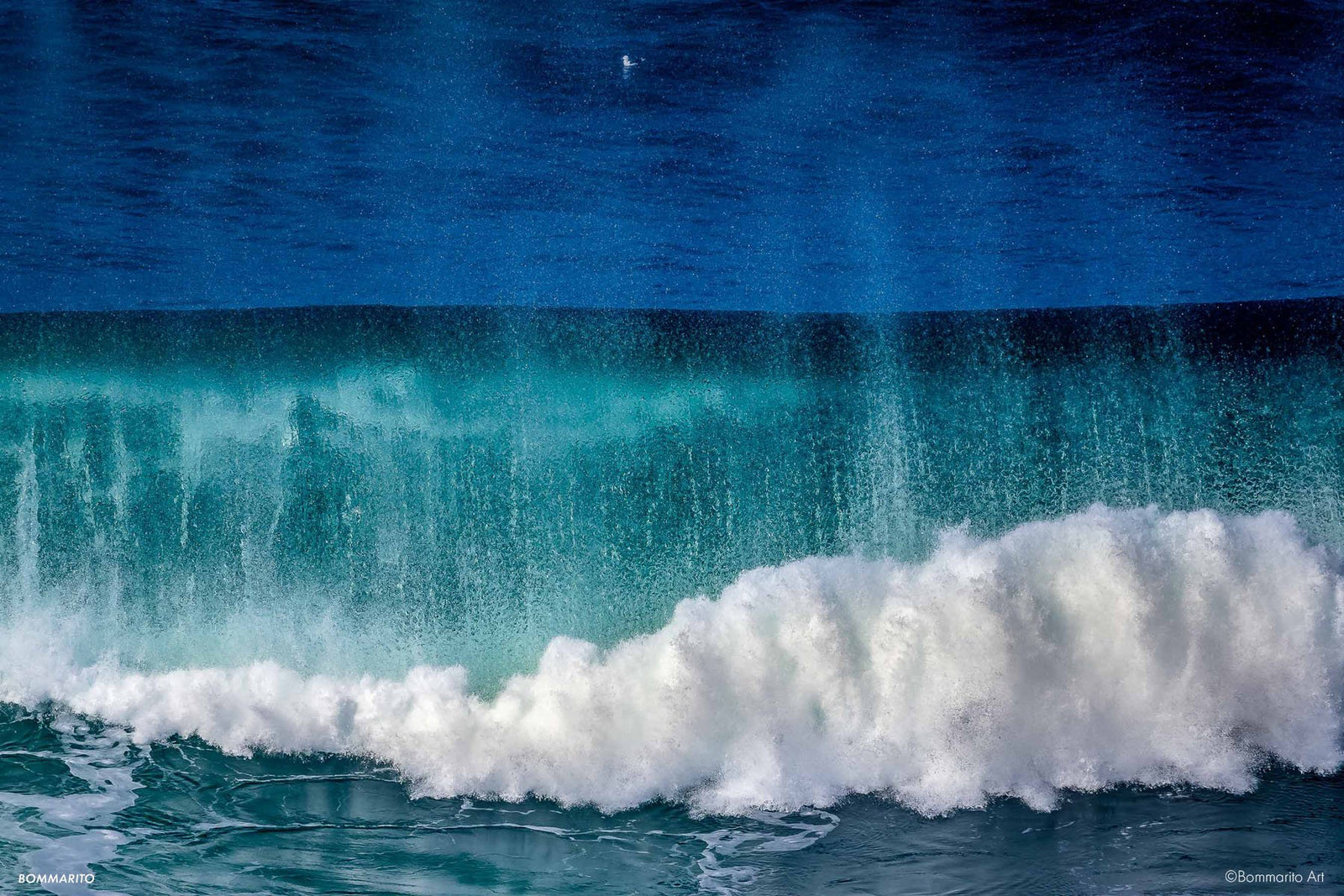 Aqua Dream