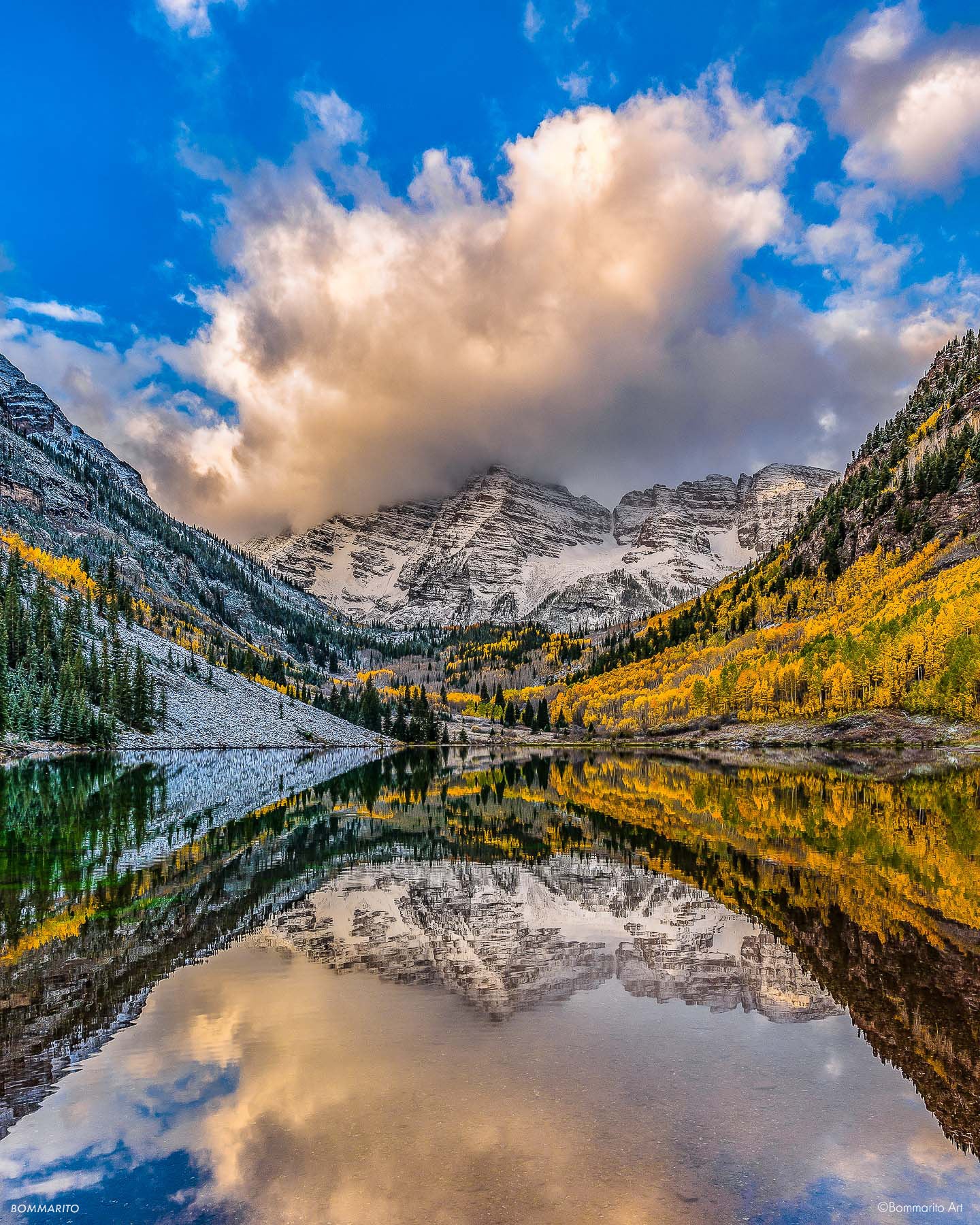 Aspen Reflections