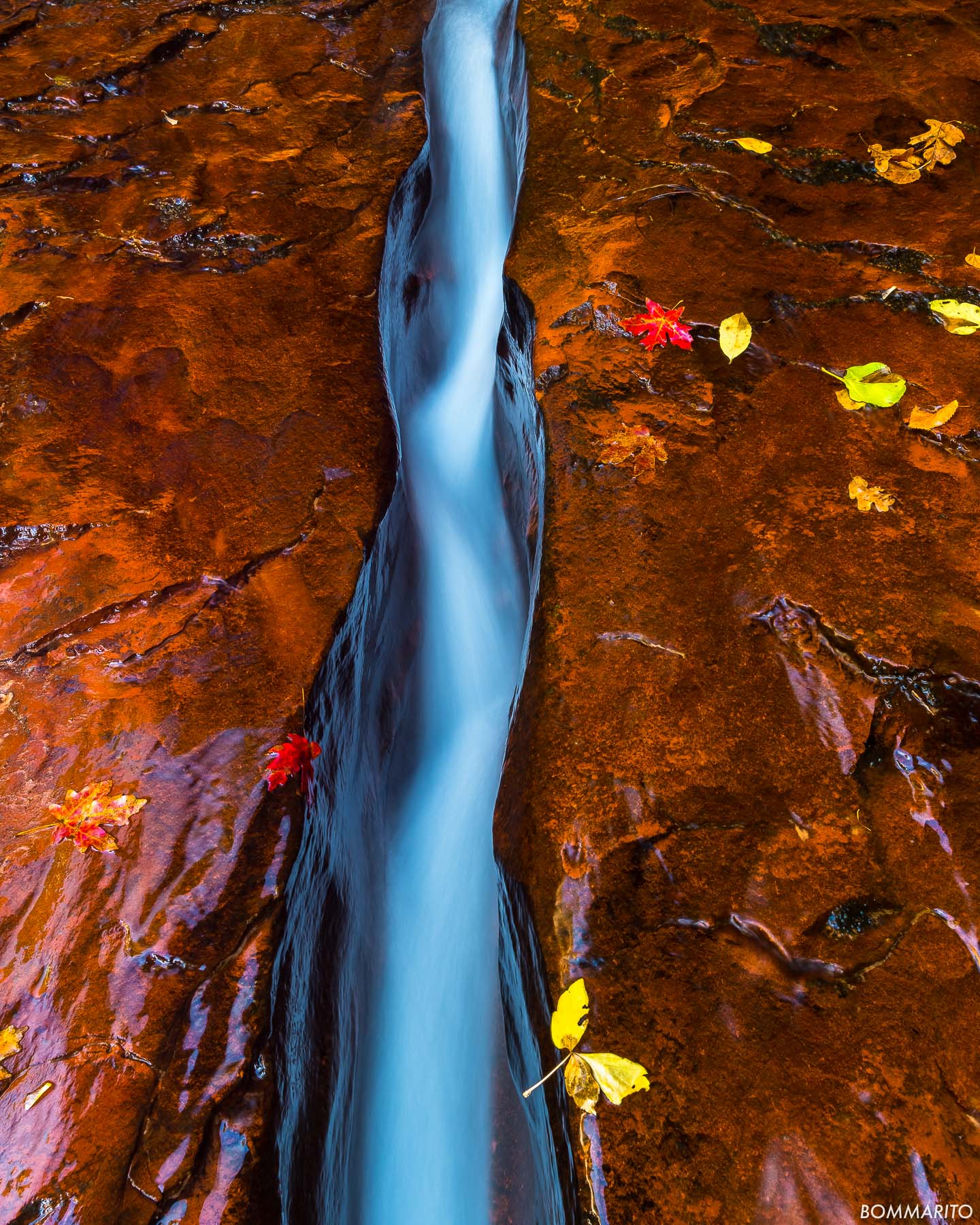 Autumn Flow
