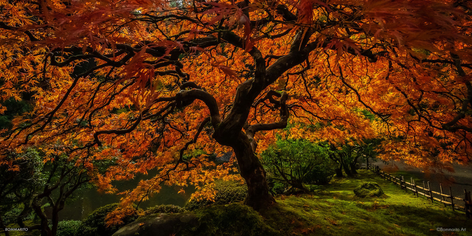 Autumn Enchantment
