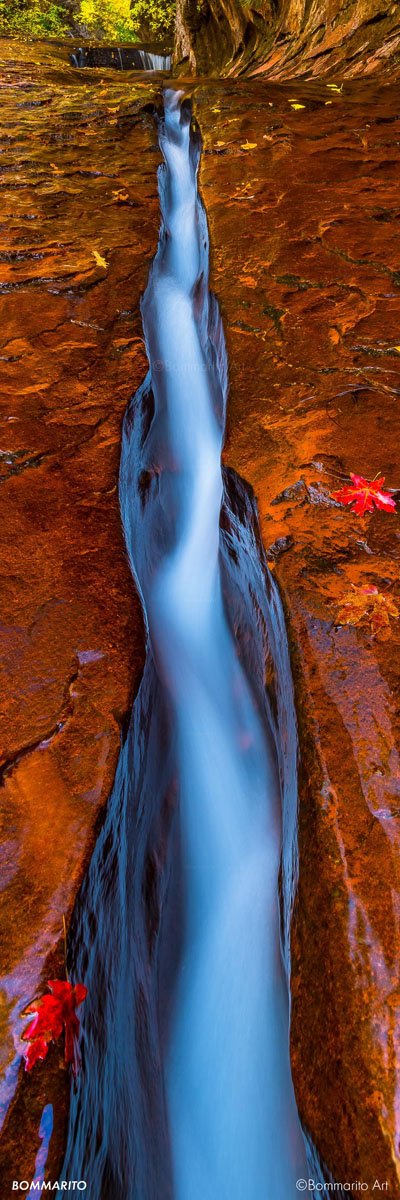 Autumn Fissure