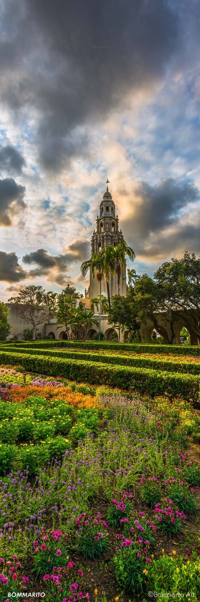 Balboa Flowers