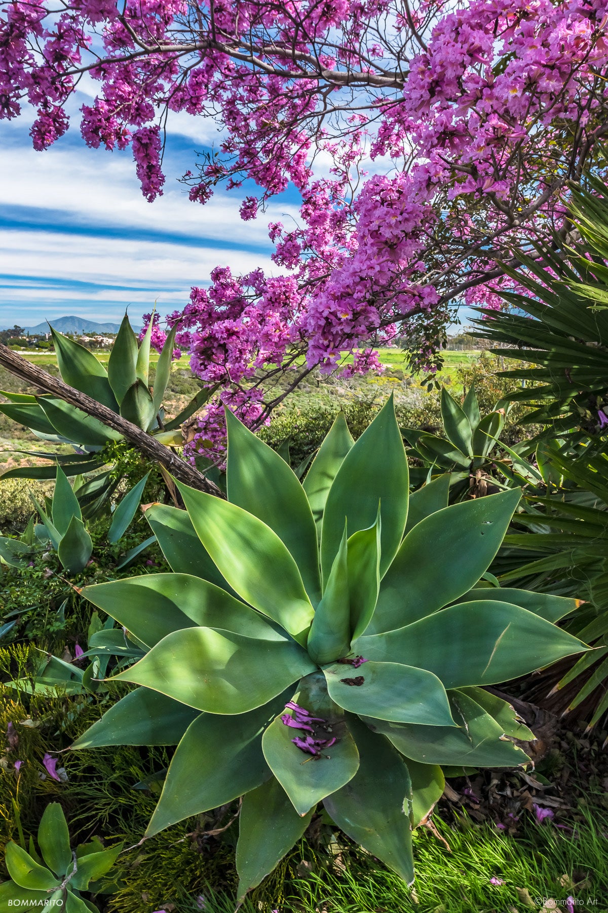 Balboa Gardens