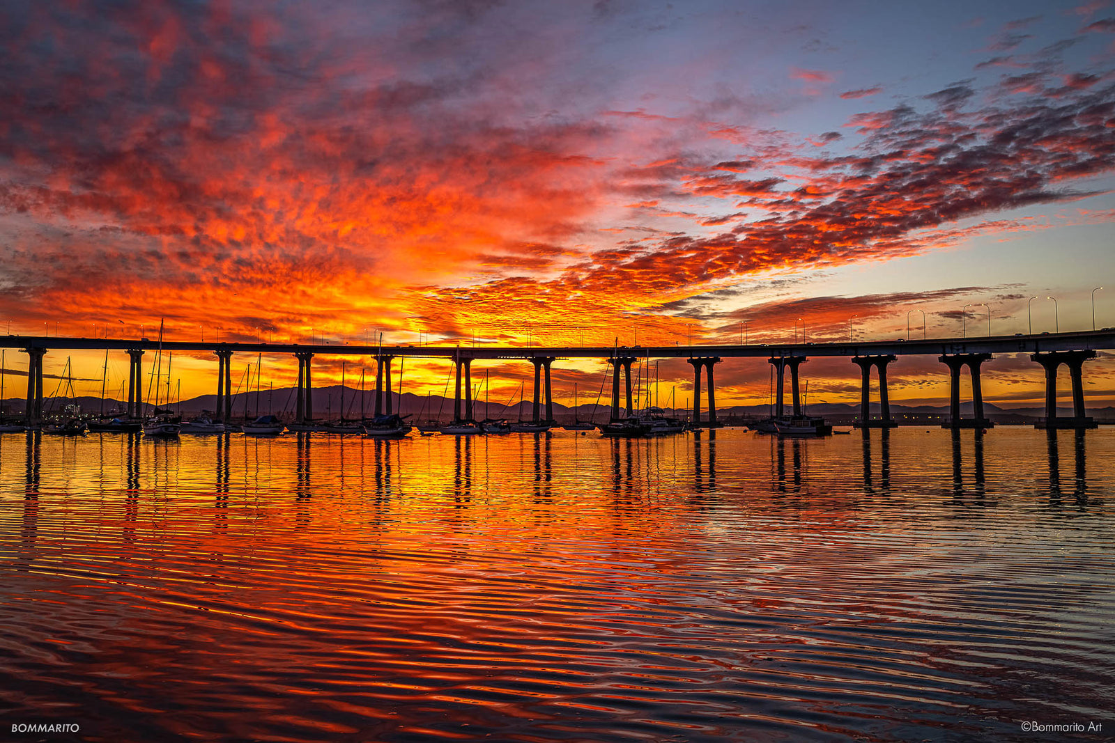 Bayside Skyfire