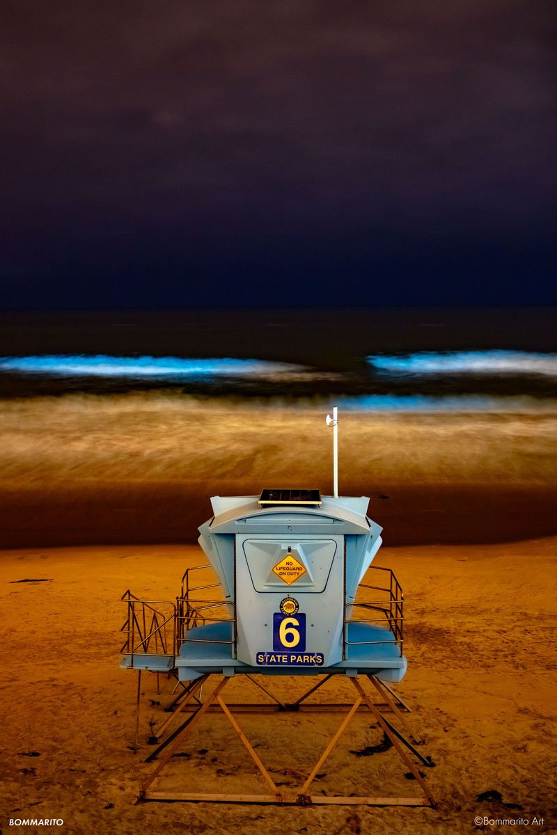 Bioluminescence