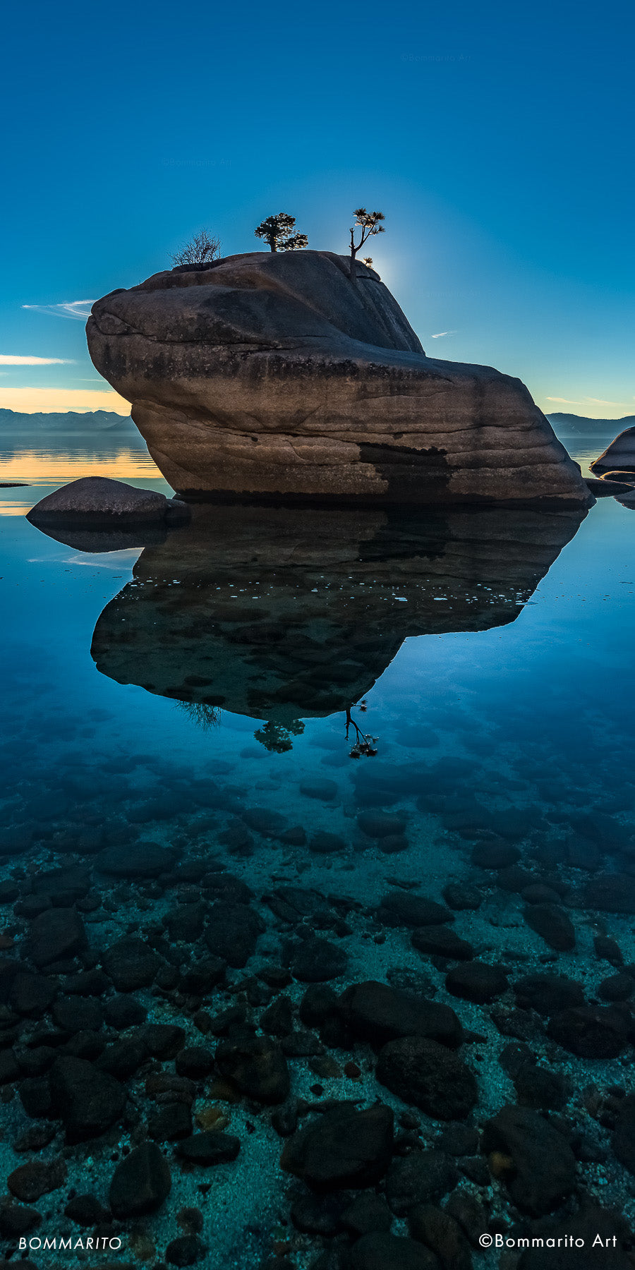 Bonsai Rock