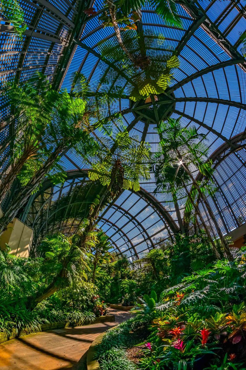 Botanical Magic