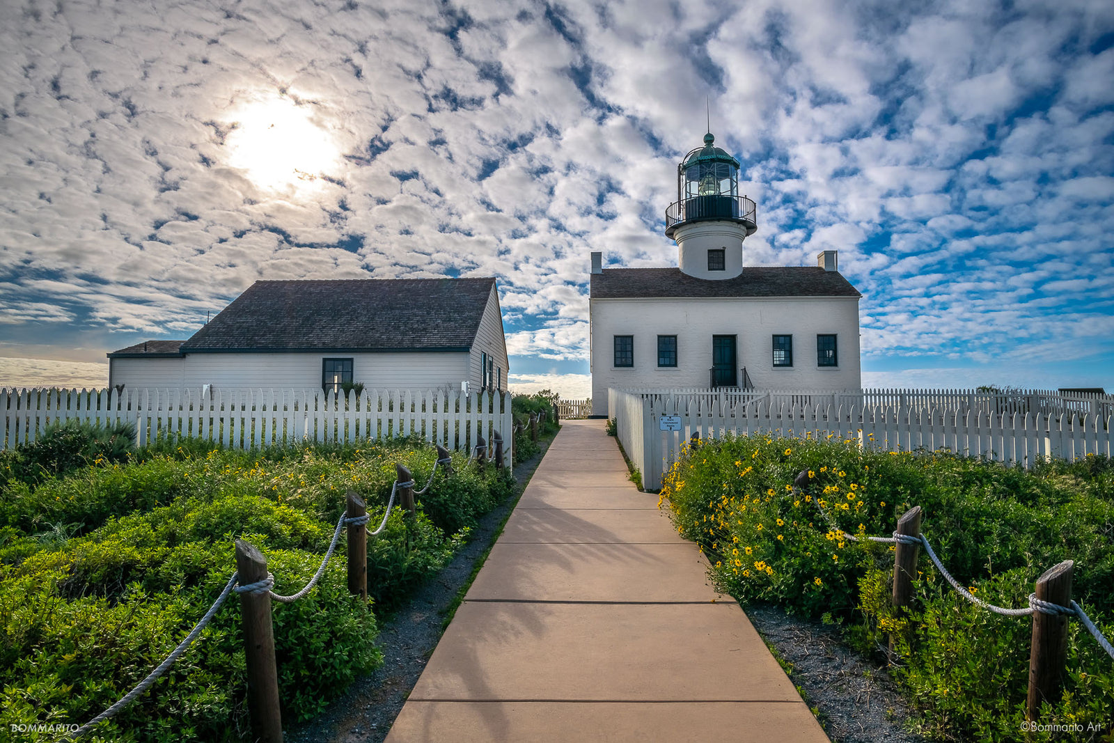 Cabrillo Flowers