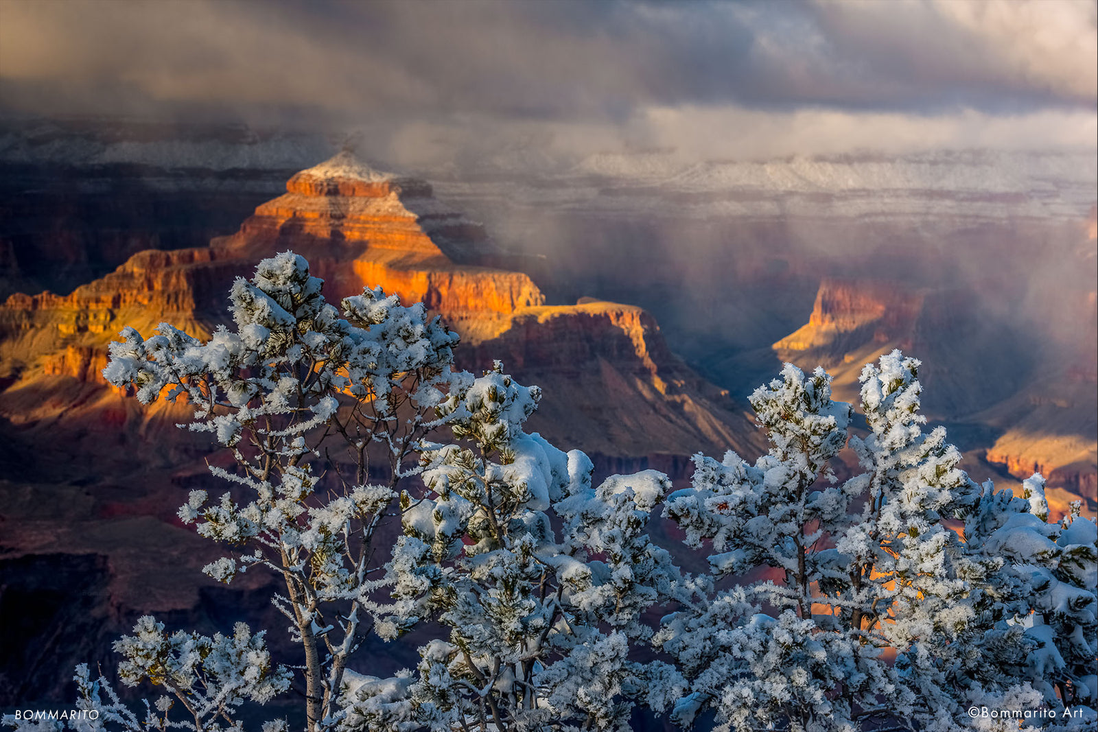 Canyon Light
