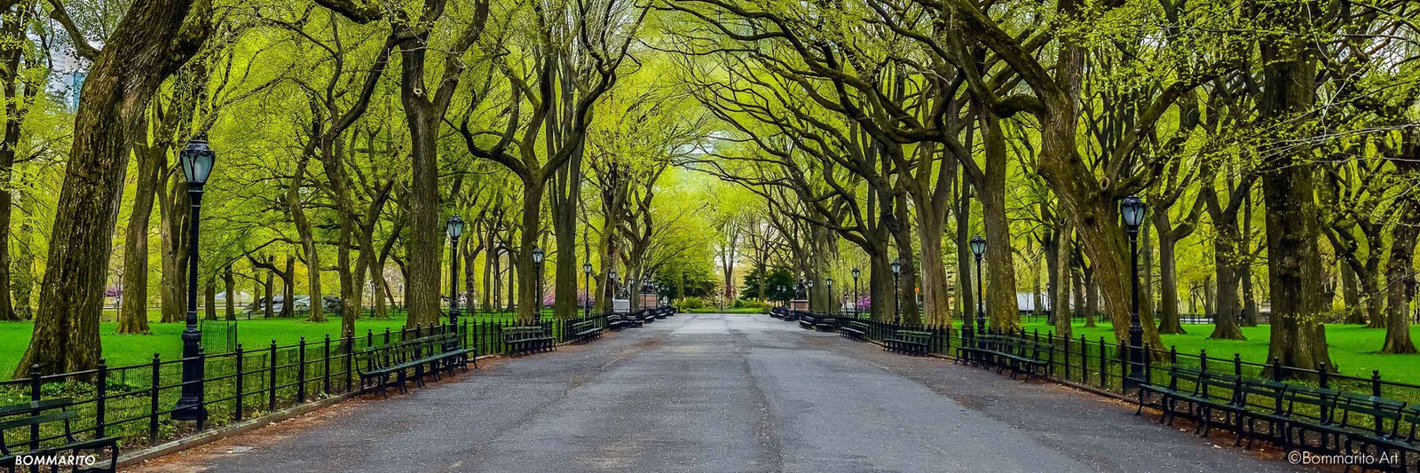 Central Park