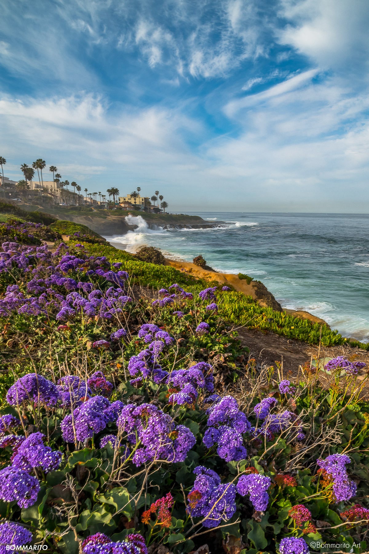 Coastal Lavender